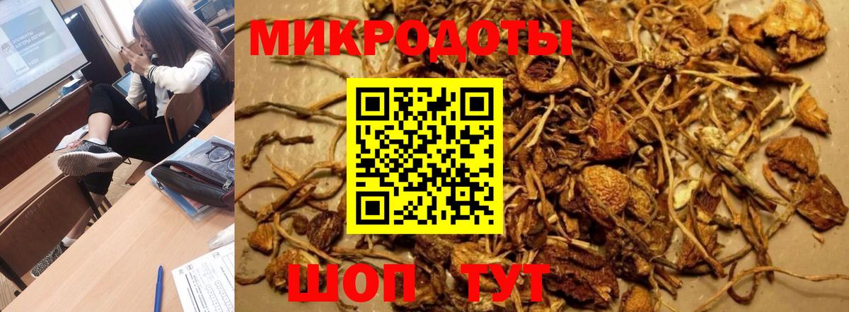 Псилоцибиновые грибы Psilocybine cubensis  Вход с VPN  Галлюциногенные грибы MAGIC MUSHROOMS  Благодарный 
