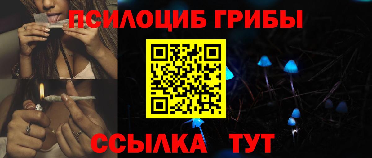 Псилоцибиновые грибы Psilocybine cubensis Благодарный